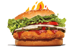 Blazn’ Veggie Burger